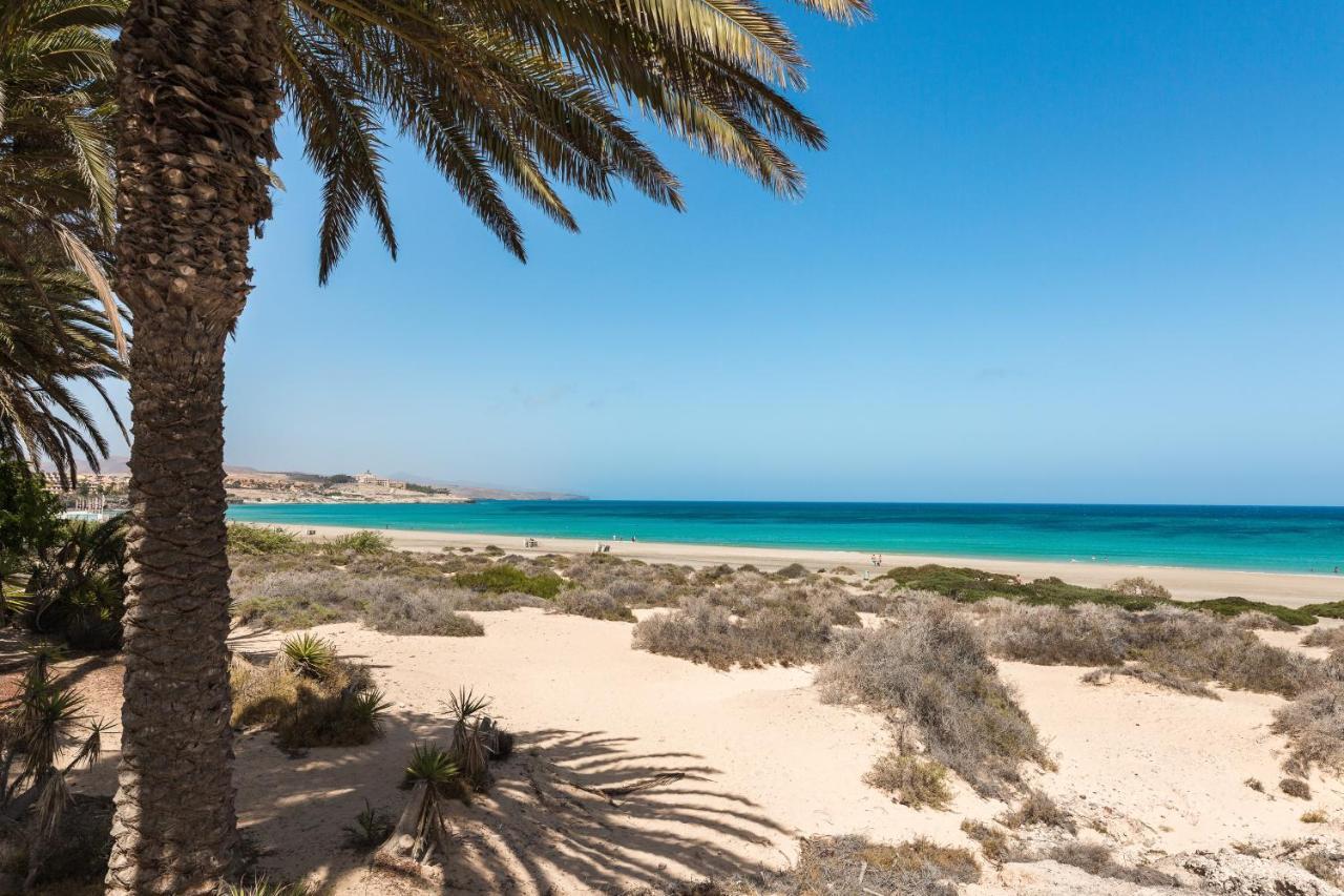 Home2Book Hola Rolls Corralejo Center Eksteriør bilde